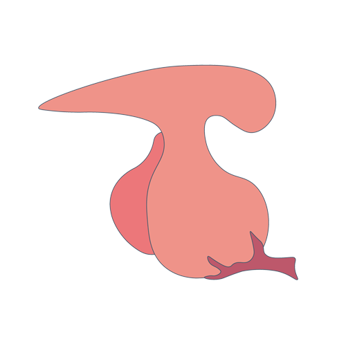 线粒体病基因检测，基因解码