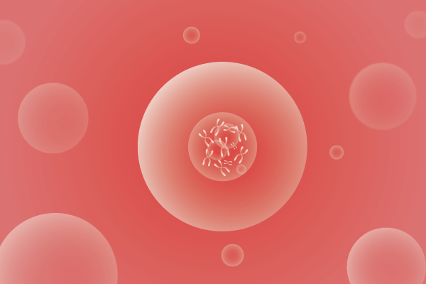CNV,拷贝数变化遗传病、基因病、罕见病基因解码，基因检测，基因筛查与分子诊断