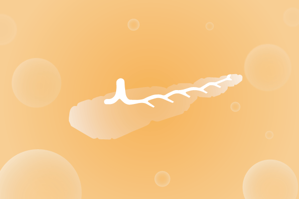 内分泌系统，腺体，胰腺遗传病、基因病、罕见病基因解码，基因检测，基因筛查与分子诊断