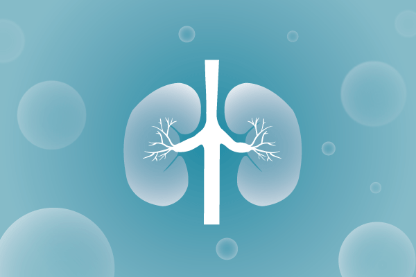 泌尿系统，肾脏，膀胱，尿病，肾不好遗传病、基因病、罕见病的基因解码，基因检测，基因筛查与分子诊断