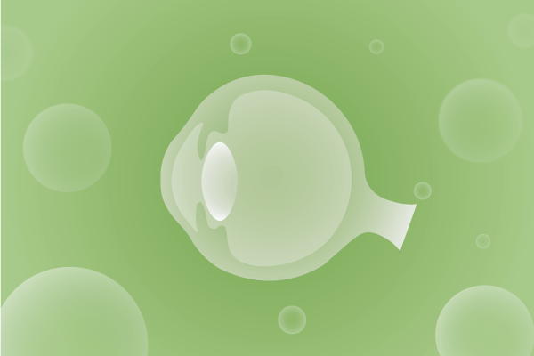 眼科，视光中心，眼科诊所，眼睛相关遗传病、基因病、罕见病的基因解码，基因检测，基因筛查与分子诊断