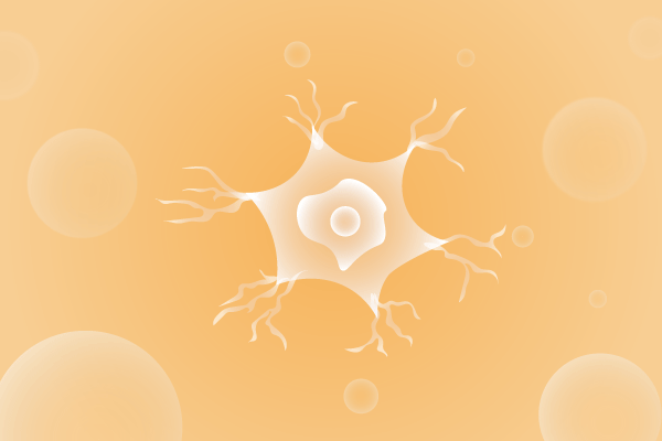 神经科肌肉系统及运动神经系统遗传病、基因病、罕见病的基因解码，基因检测，基因筛查与分子诊断