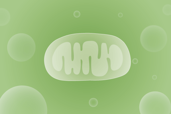 线粒体病、线粒体疾病遗传病、基因病、罕见病基因解码，基因检测，基因筛查与分子诊断