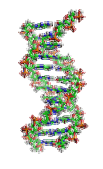 【EVO视讯官网基因检测】眼皮肤白化病4型基因解码、<a href=http://www.gzfco.com/tk/jiema/cexujishu/2021/31933.html>基因检测</a>的报告有人解读吗？