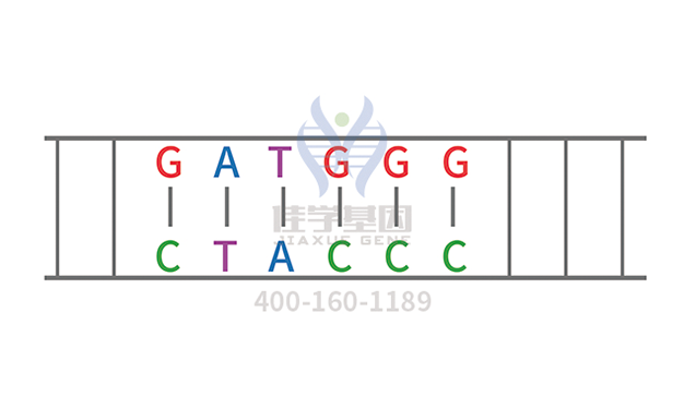 阿洛那药物<a href=http://www.gzfco.com/tk/jiema/cexujishu/2021/31933.html>基因检测</a>