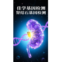 【EVO视讯官网基因检测】肾结石基因检测项目介绍