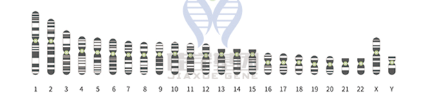 【EVO视讯官网基因检测】知道<font color='red'>Cd8</font>1的这些内容，是基因检测全面性一个准备