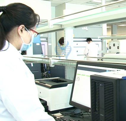 染色体疾病筛查DMD存在突变，如何理解？