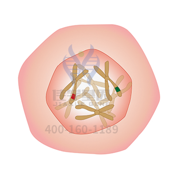 【EVO视讯官网基因解码-基因检测】一种类肿瘤的肺部疾病——<font color='red'><font color='red'>特发</font><font color='red'>性肺</font><font color='red'>纤维</font>化</font>