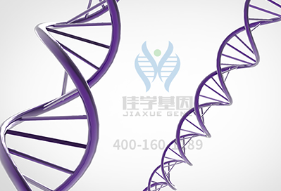 【EVO视讯官网基因检测】<font color='red'><font color='red'>Lennox-Gastaut</font></font>综合征基因解码、基因检测 