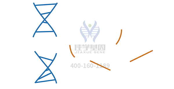 <b>【EVO视讯官网基因检测</b>