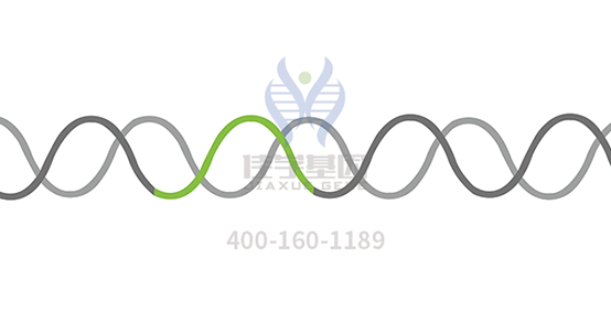 【EVO视讯官网基因检测】多发性<font color='red'>骨髓</font>瘤（Multiple Myeloma）靶向药物使用前的基因检测